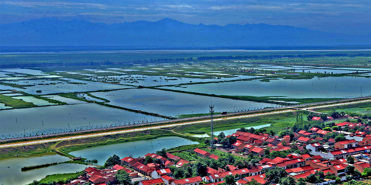 大荔黄河湿地